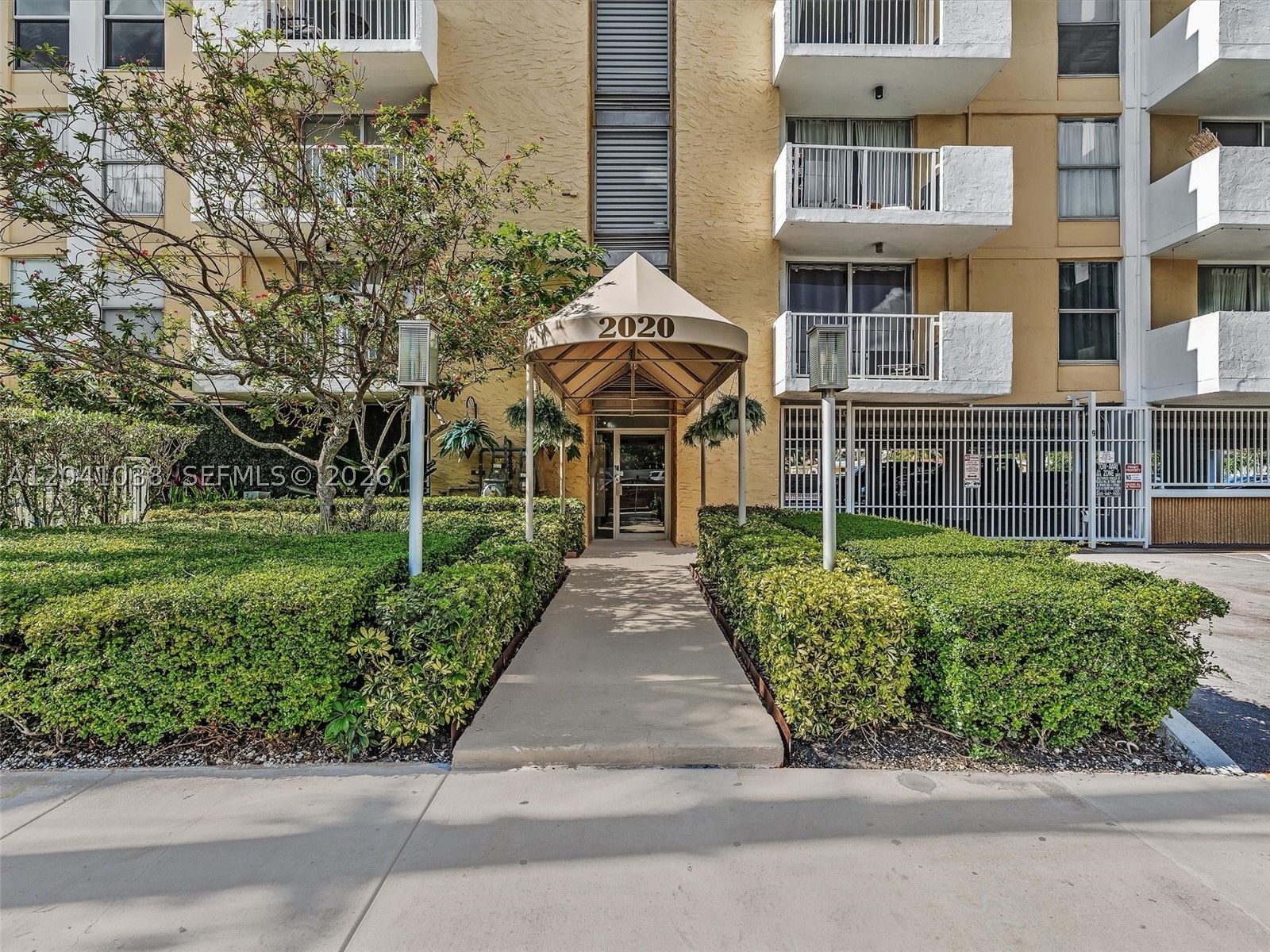 North Miami photo 4