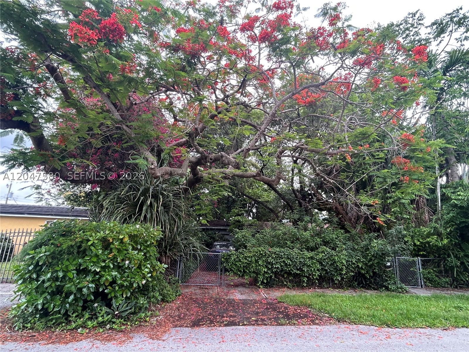 Miami photo 1