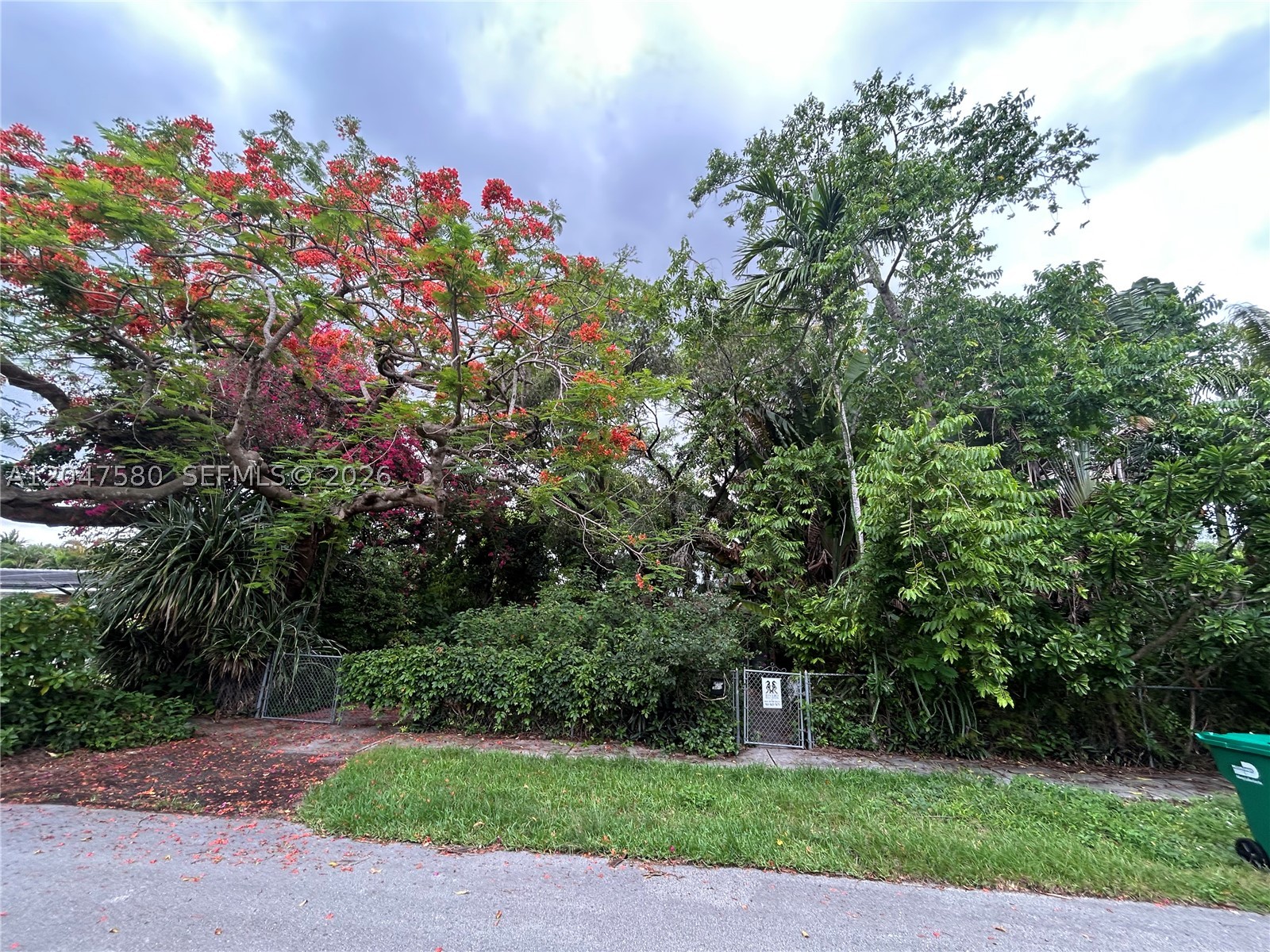 Miami photo 2