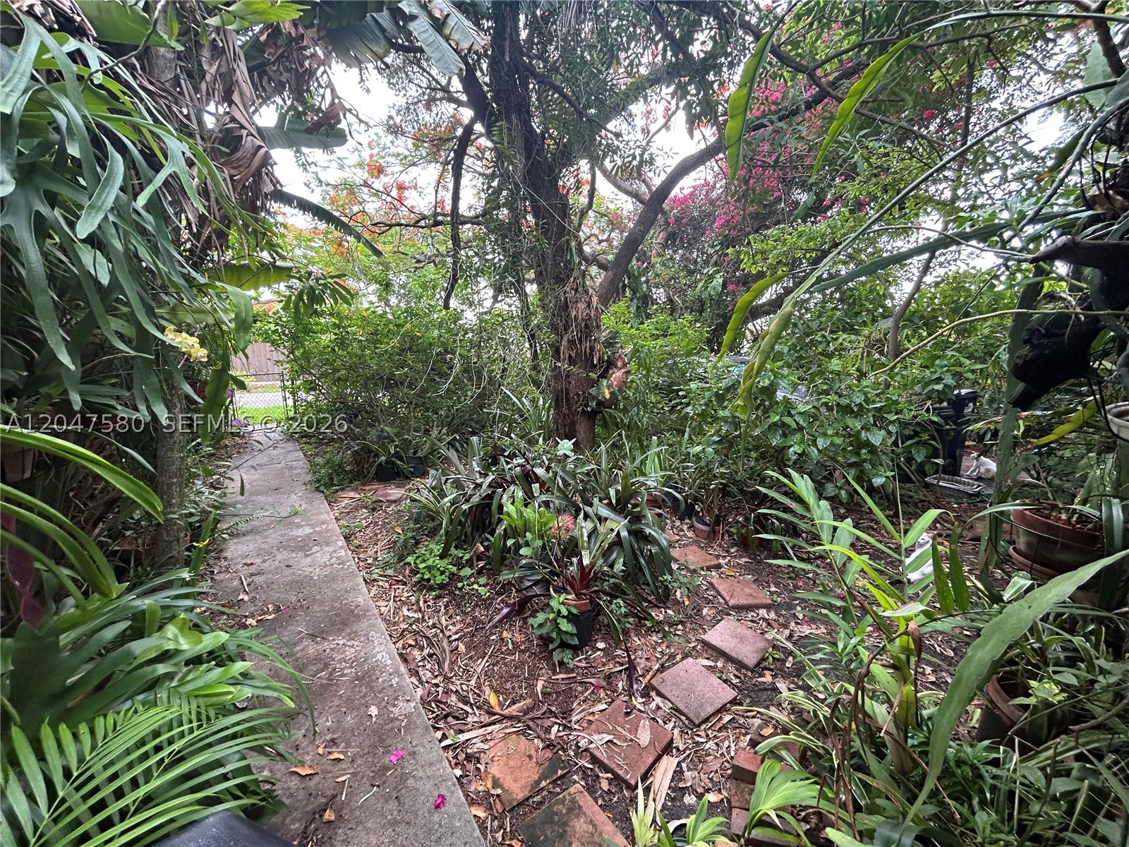 Miami photo 3