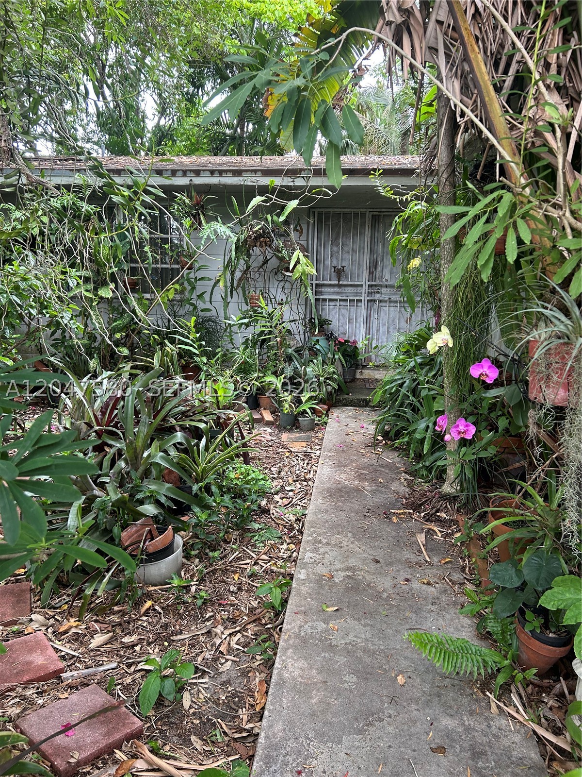 Miami photo 4