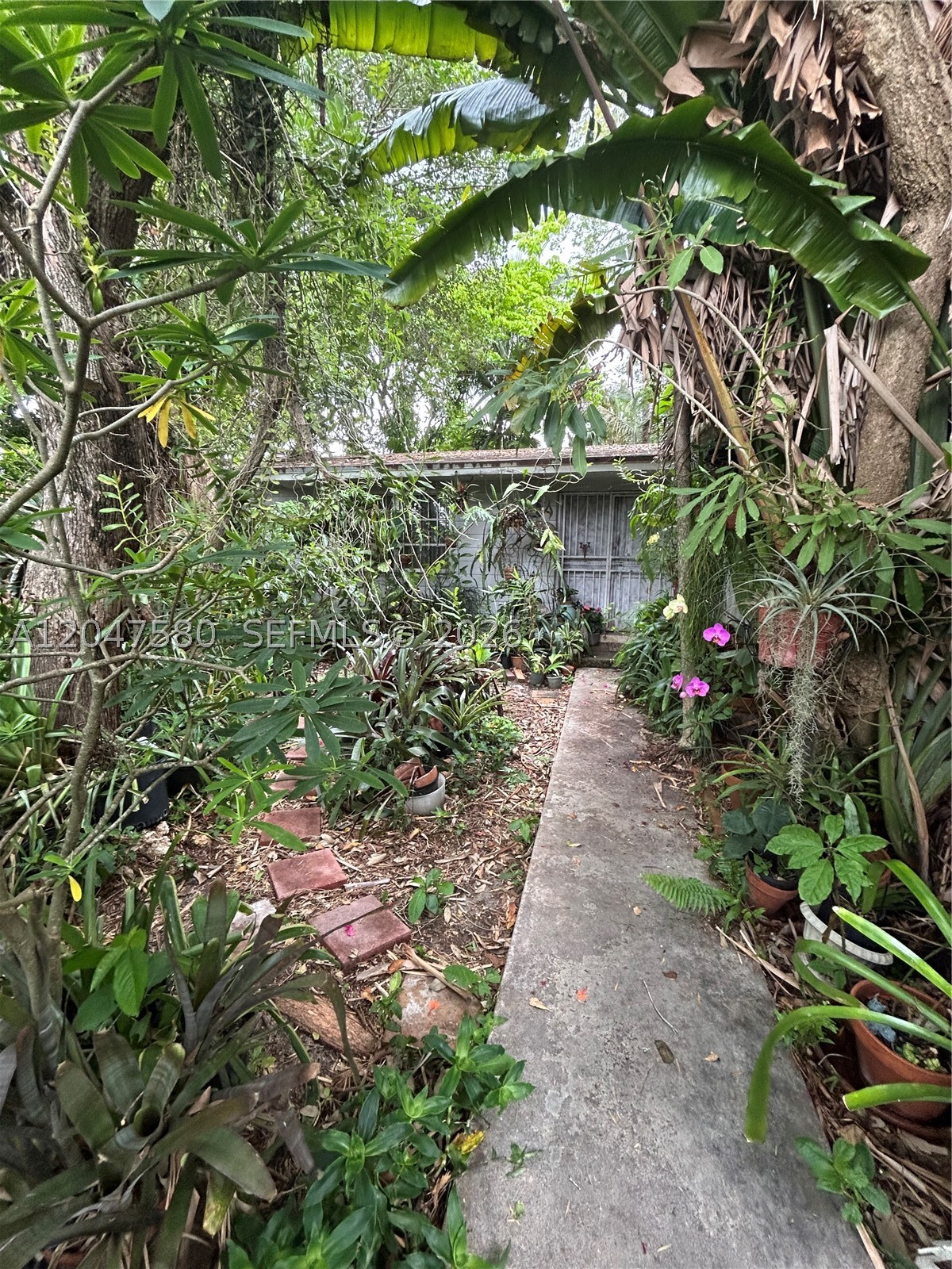 Miami photo 5