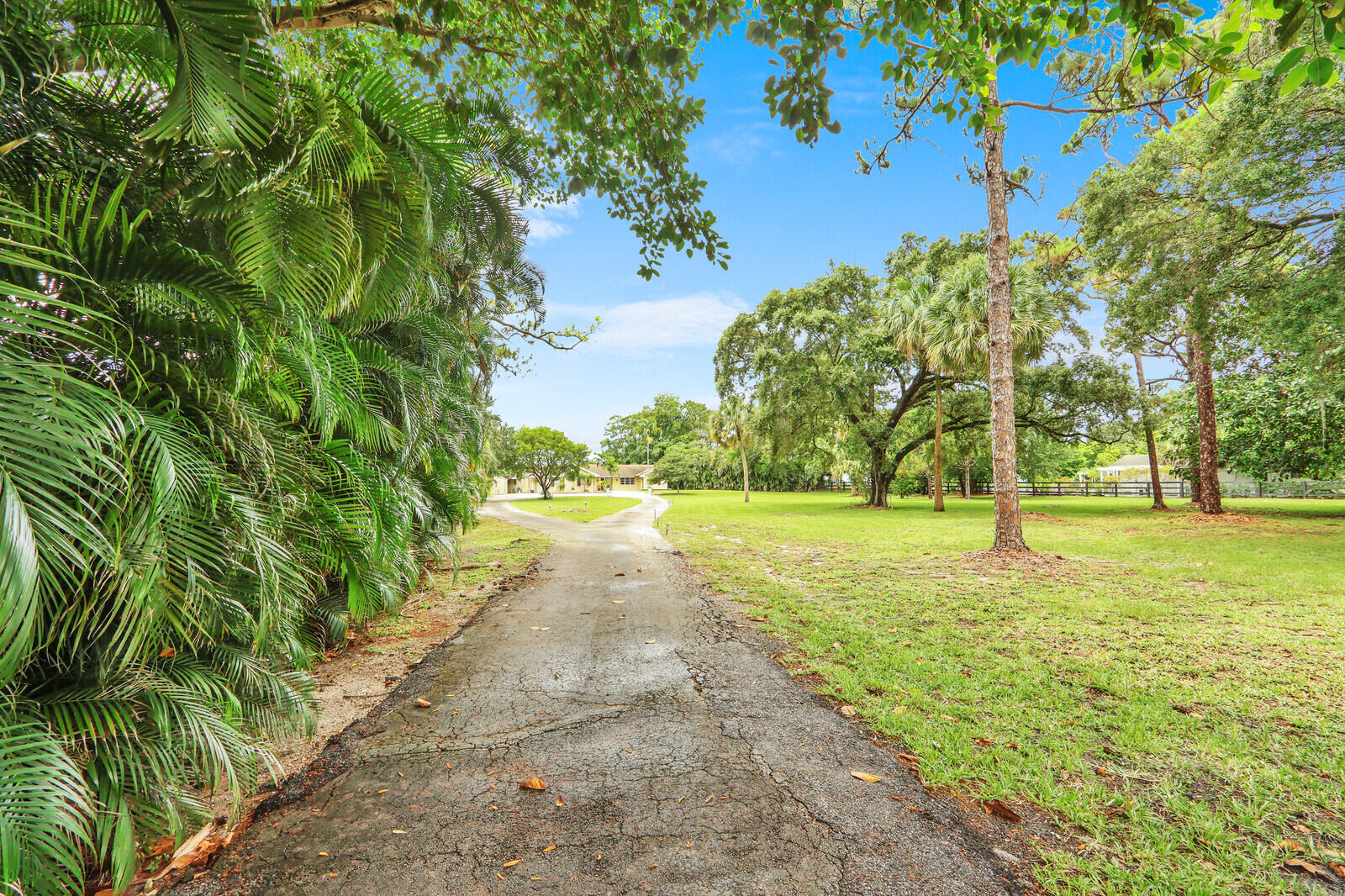 Palm Beach Gardens photo 5