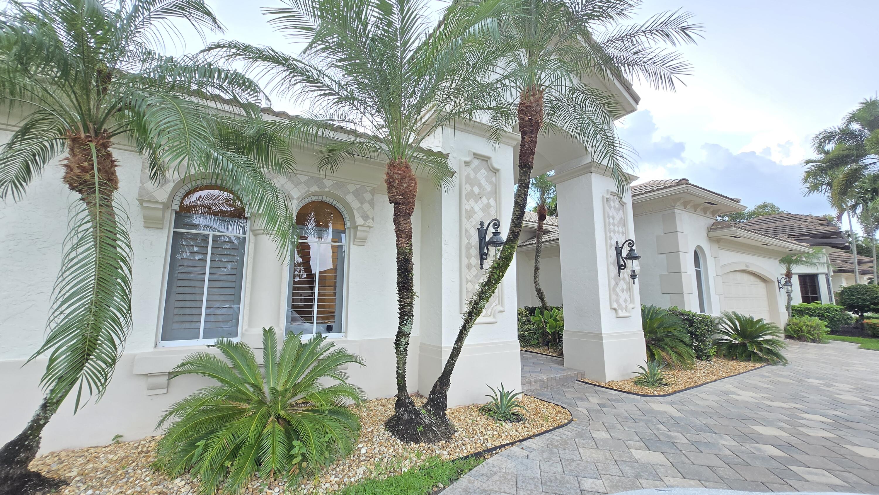 Plantation photo 5
