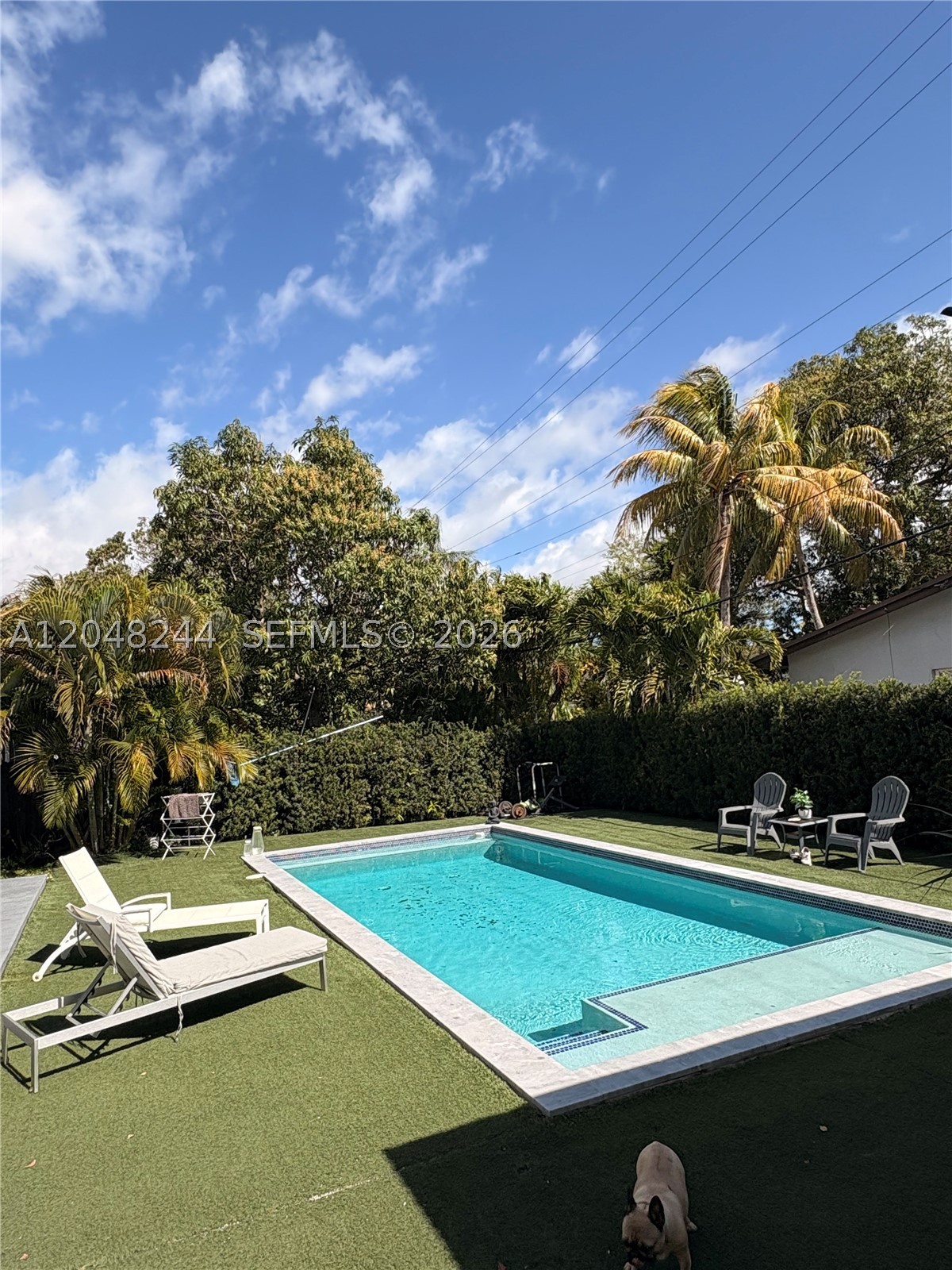North Miami photo 1