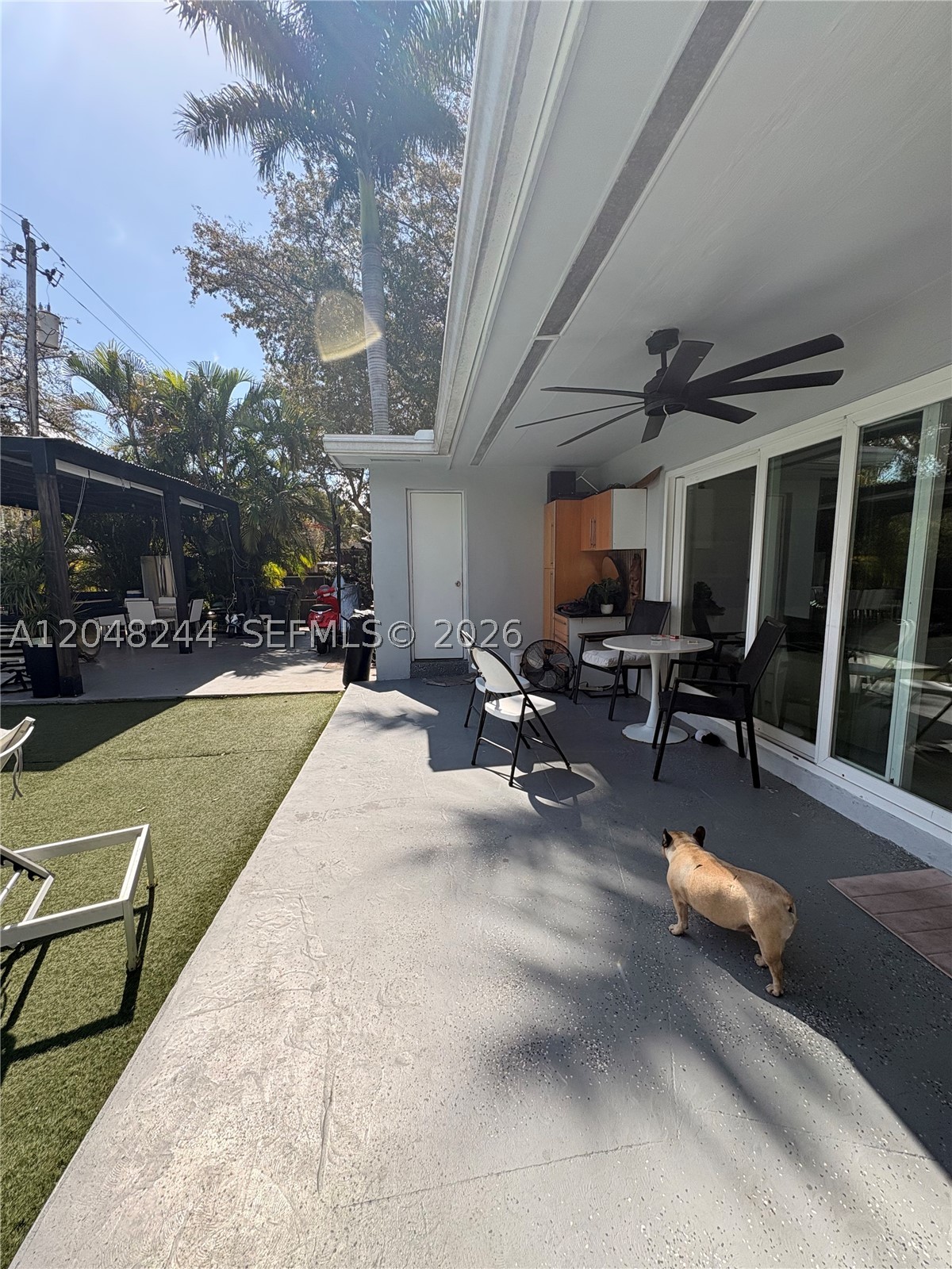 North Miami photo 5