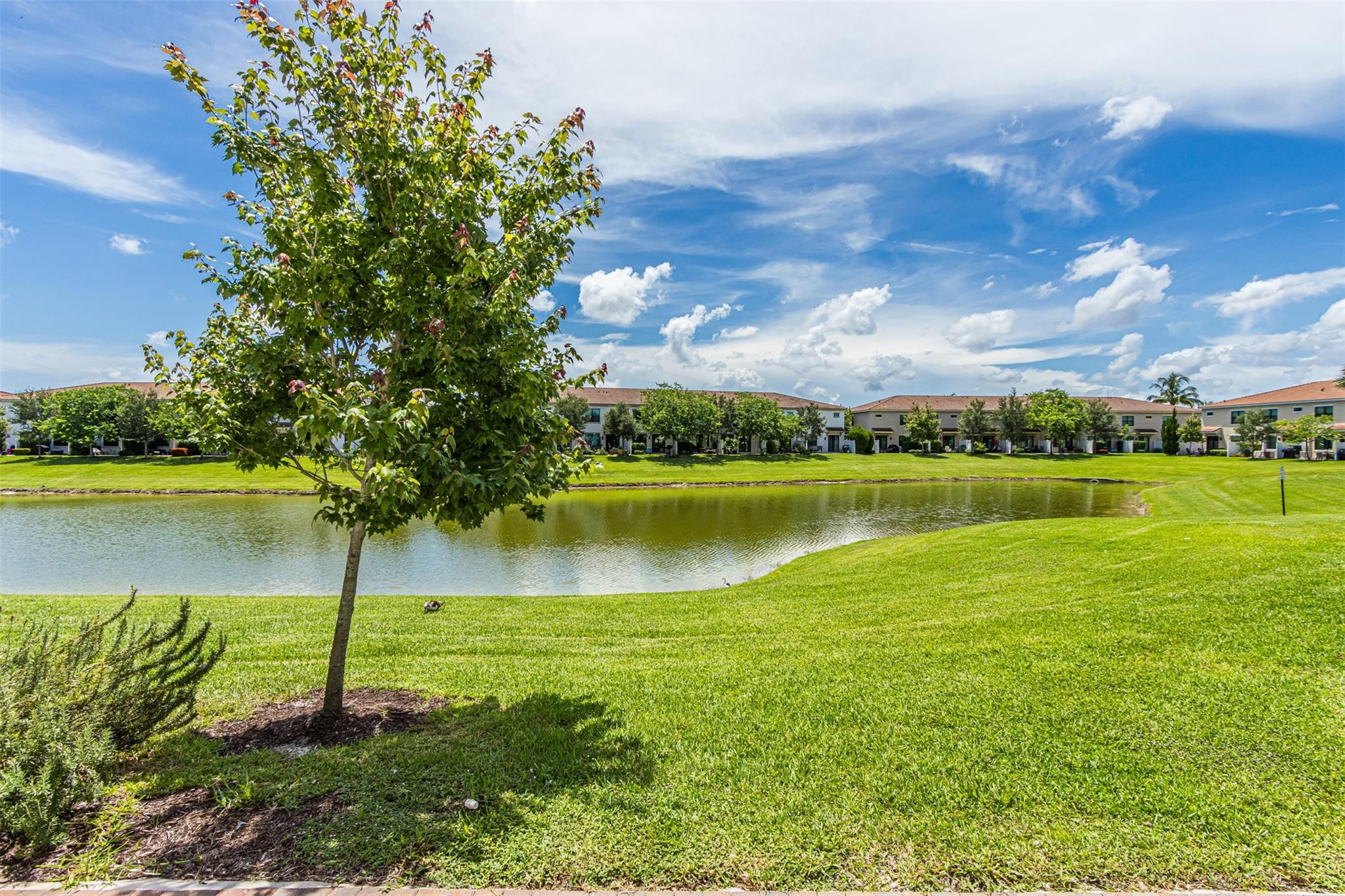 Boca Raton photo 3