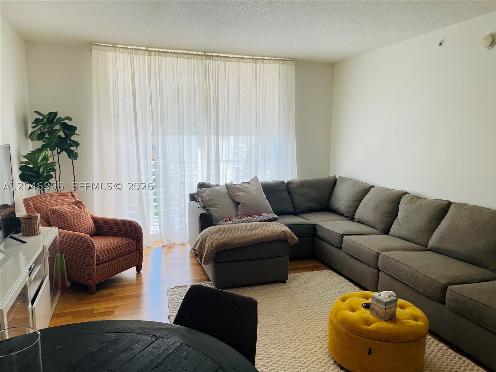 Aventura photo 3
