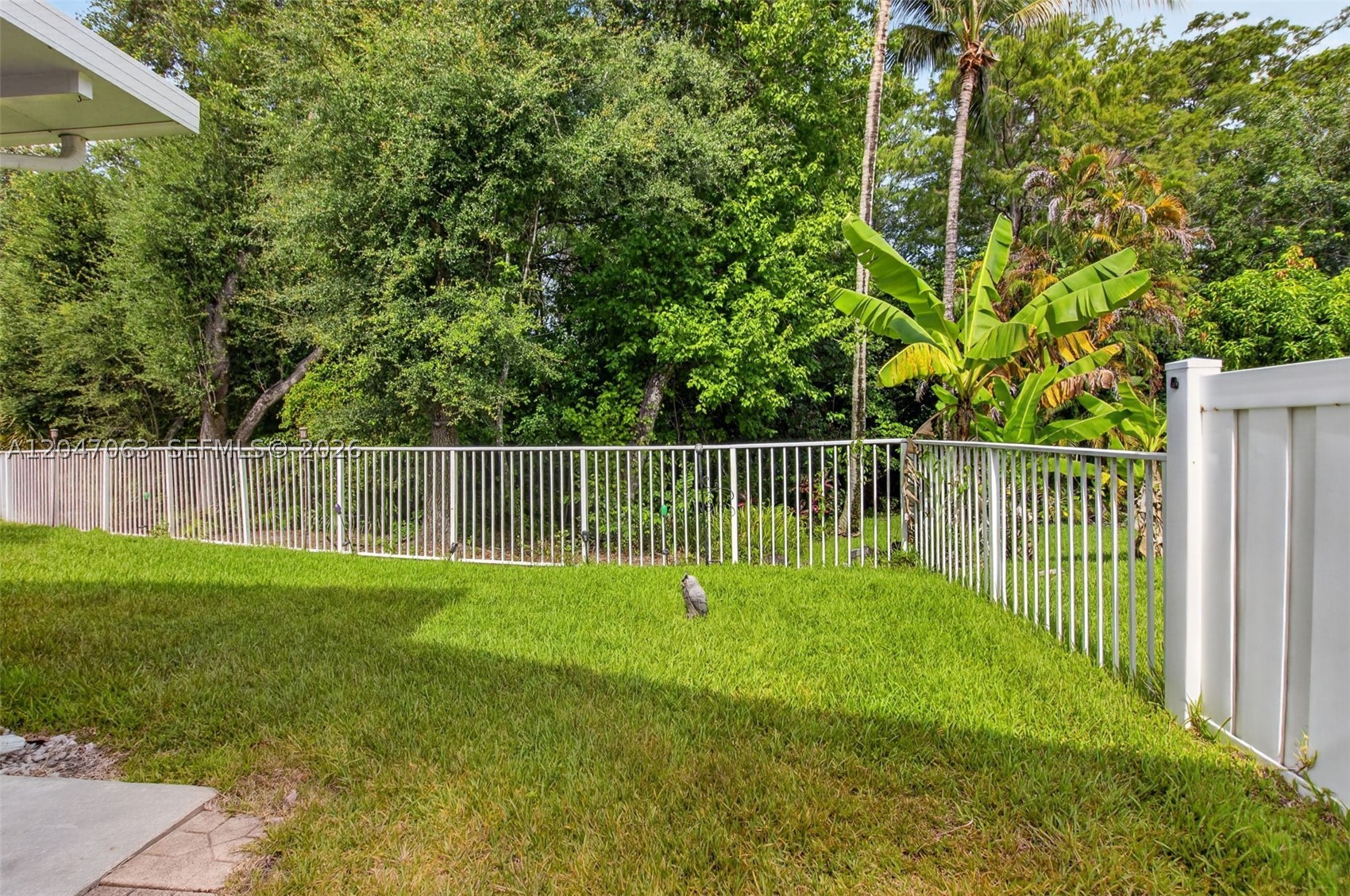 Boca Raton photo 4