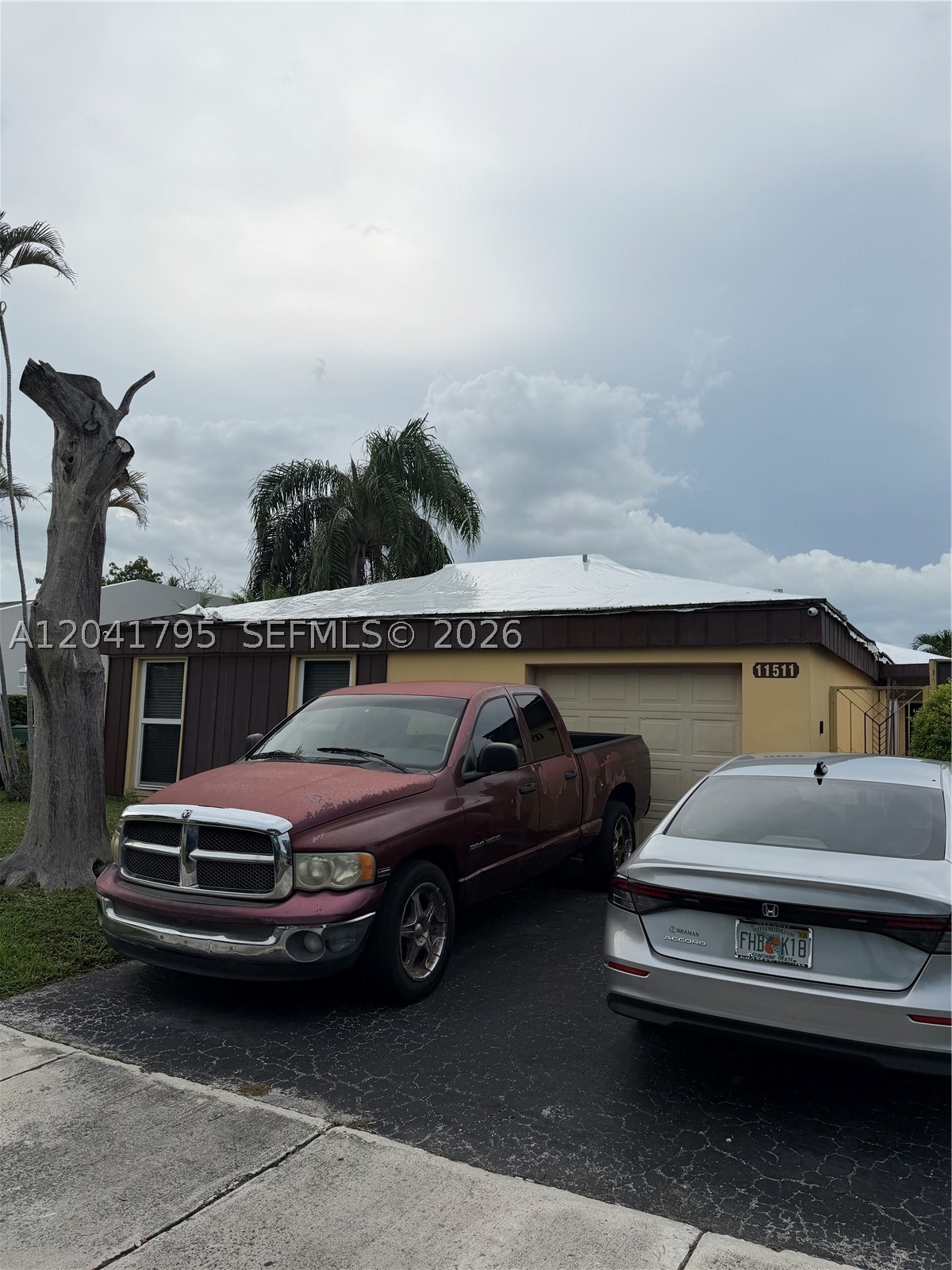 Miami photo 1