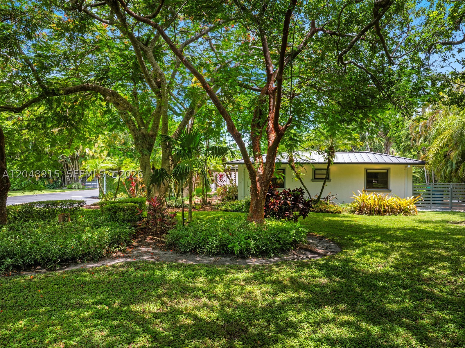 Miami photo 3