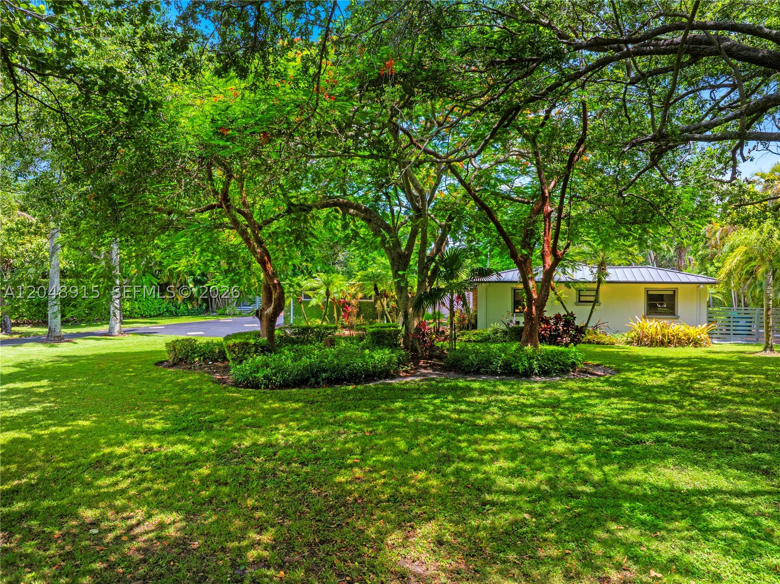 Miami photo 4