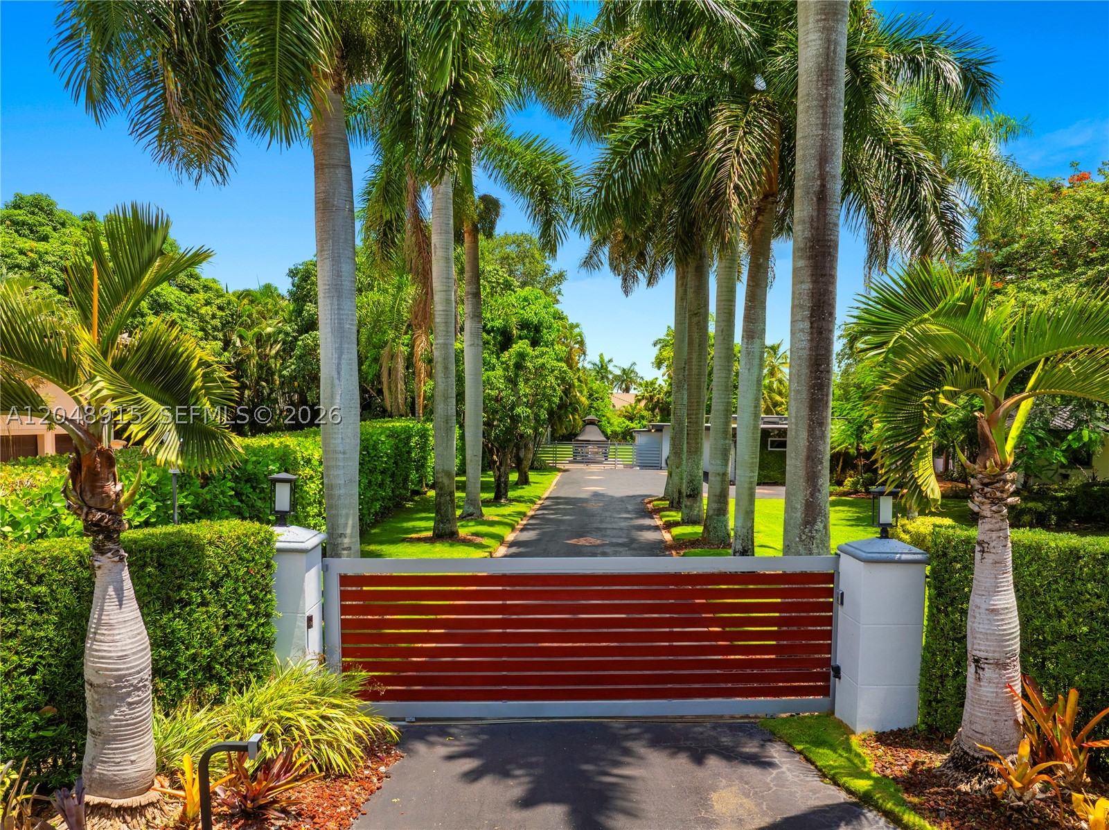 Miami photo 5