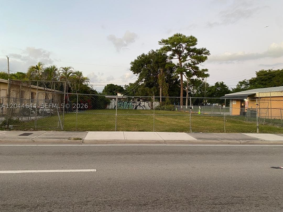Miami photo 5
