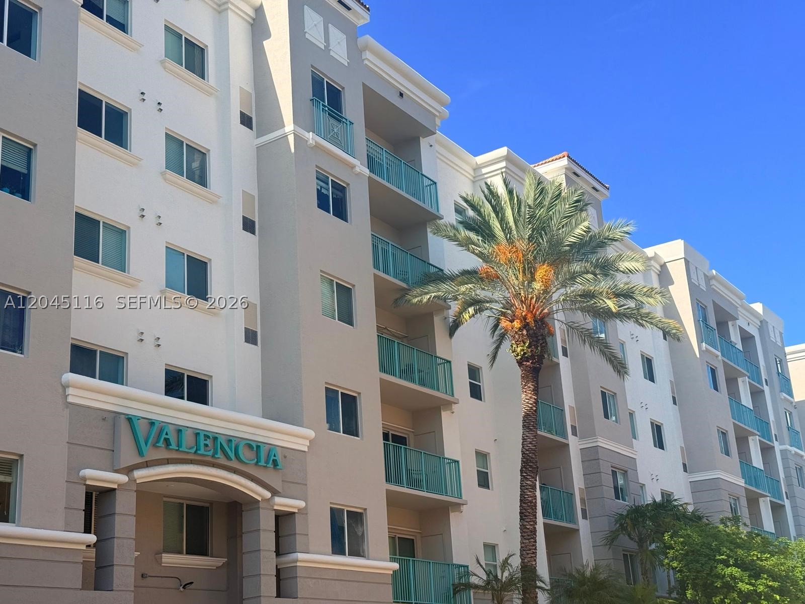 South Miami photo 1