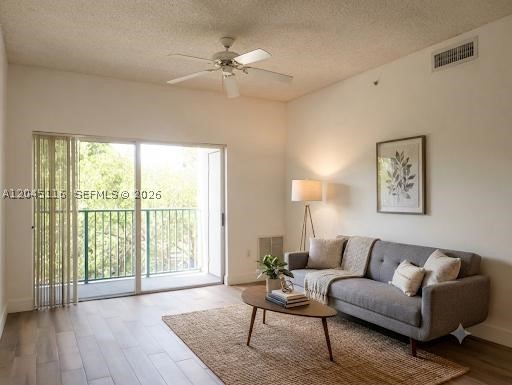 South Miami photo 4