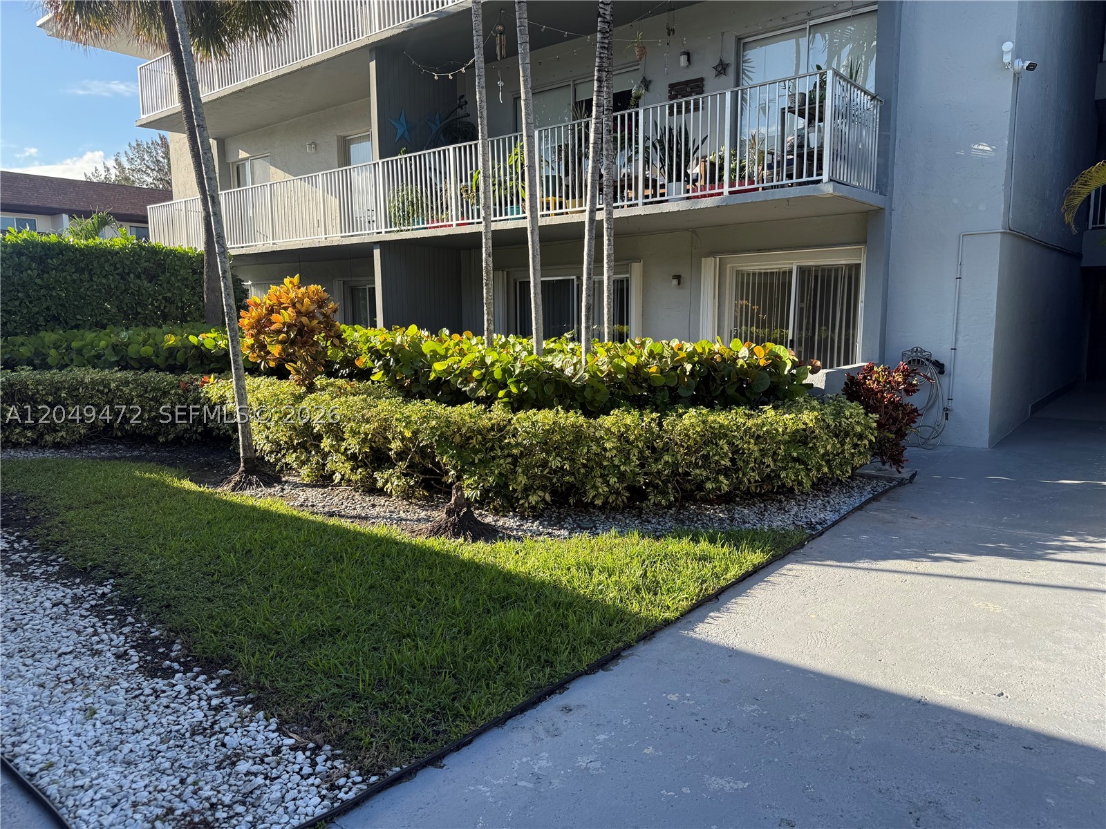 Miami photo 1