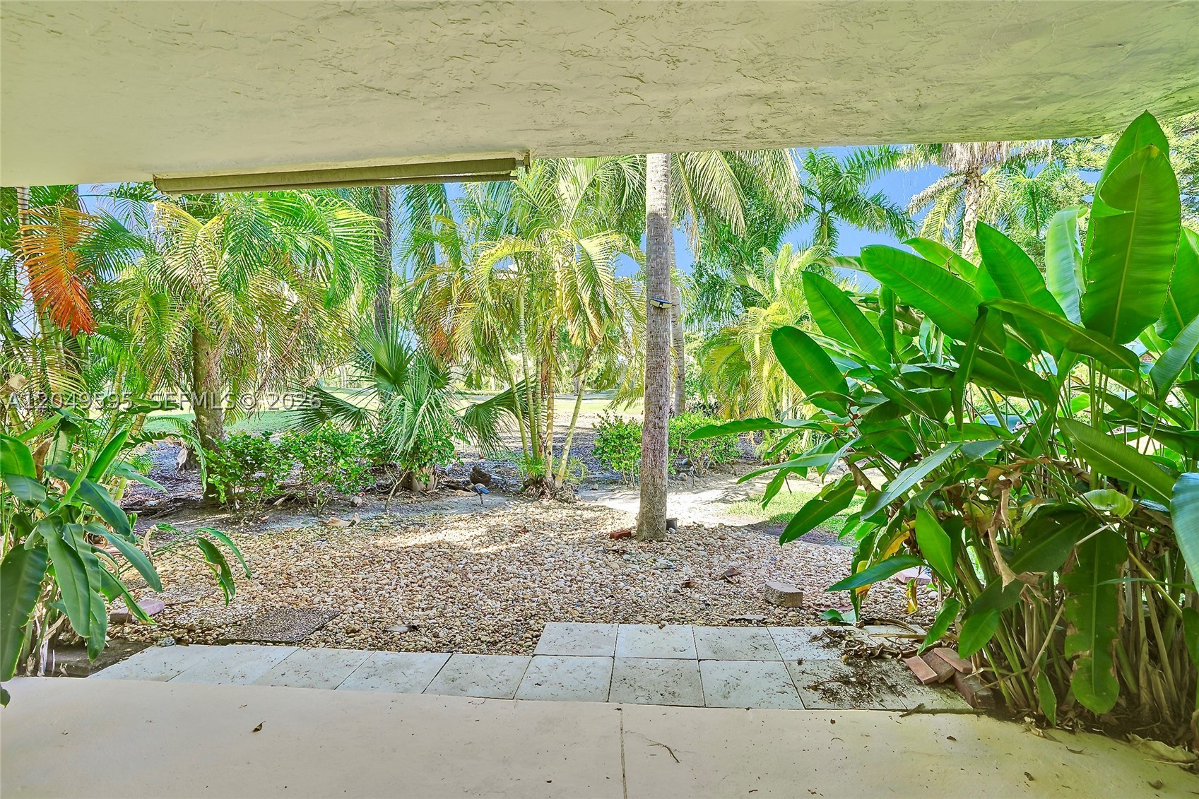 Aventura photo 4