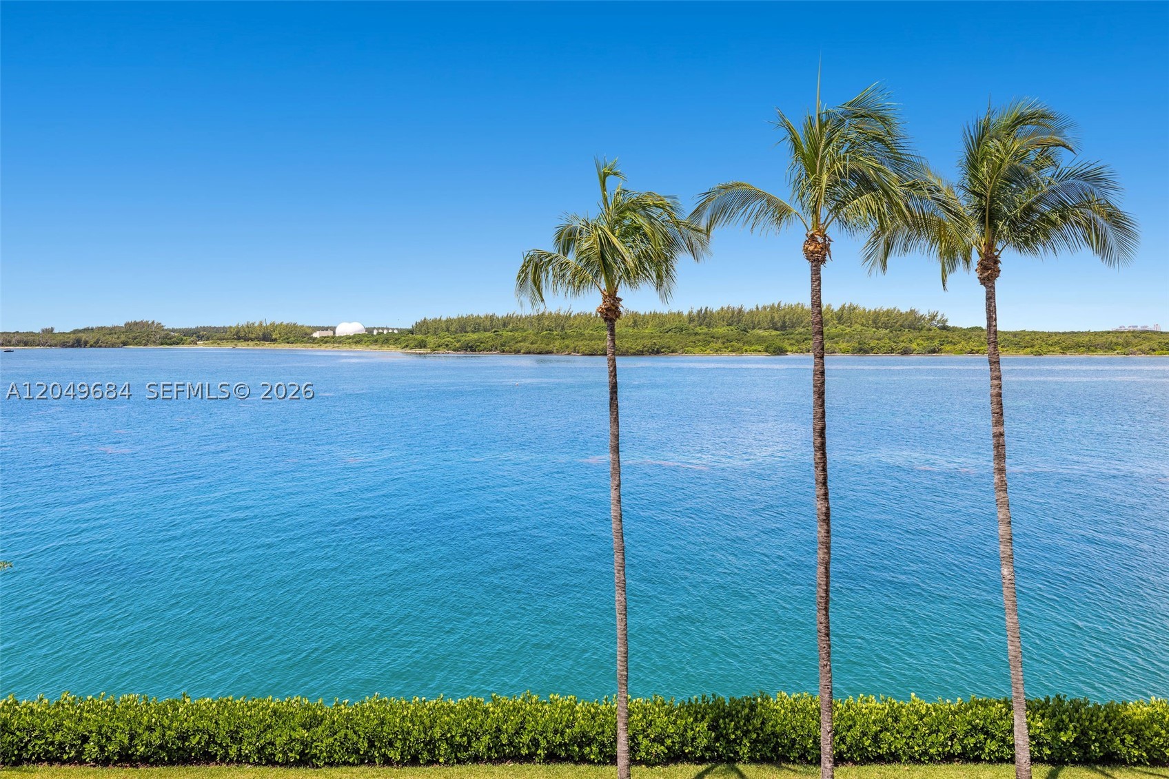 Miami Beach photo 5