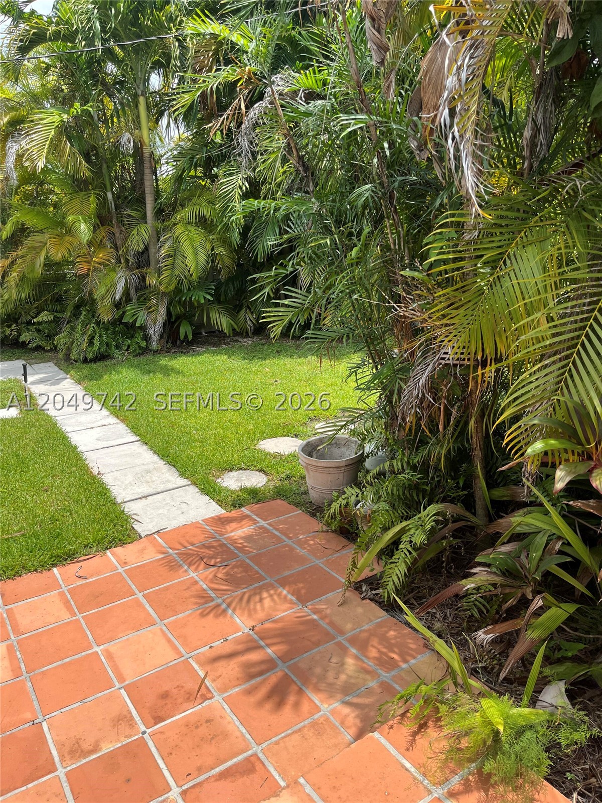 Miami photo 3