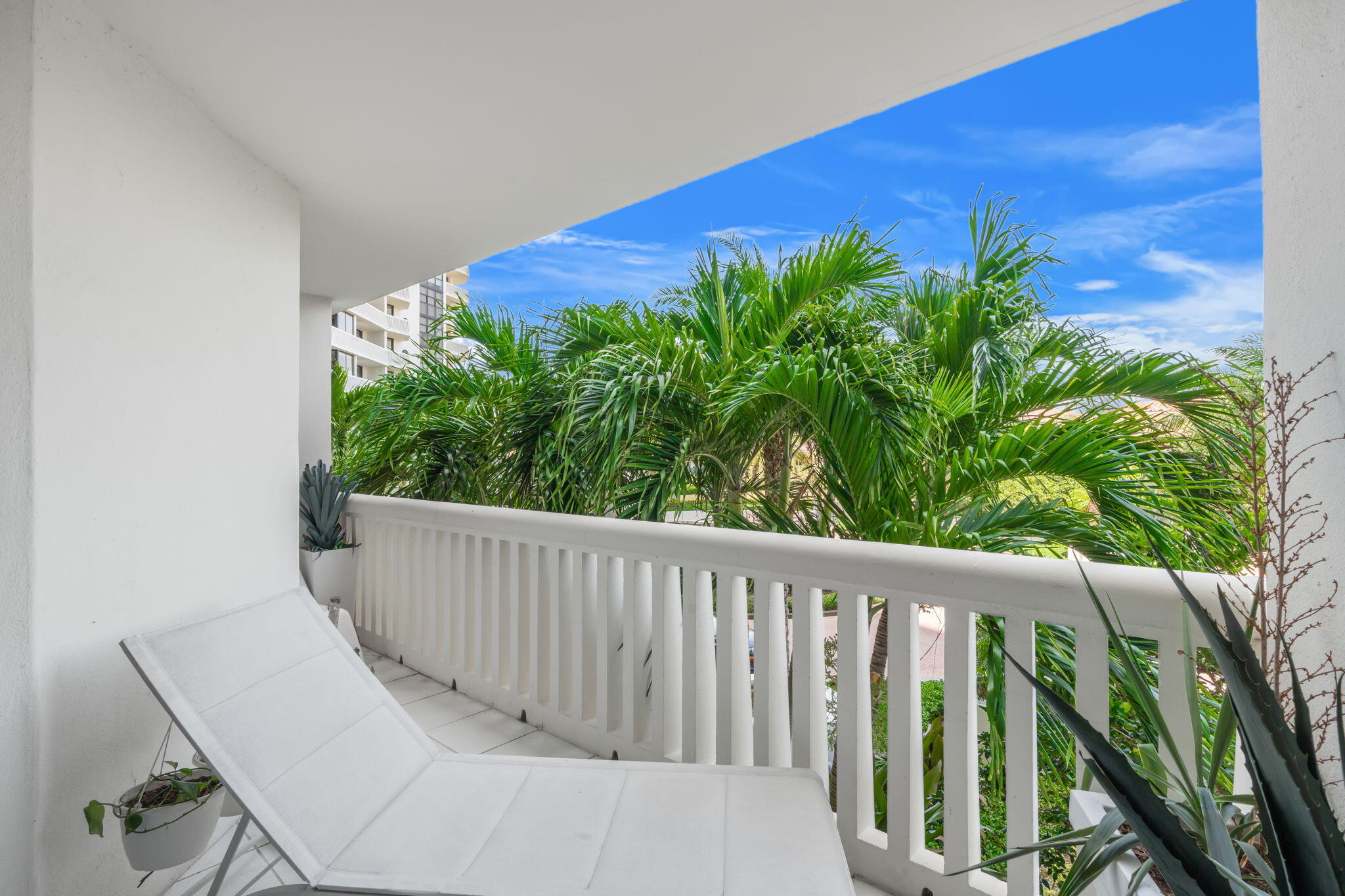 Aventura photo 2