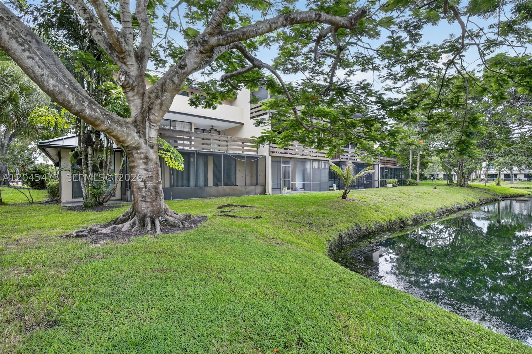 Plantation photo 2