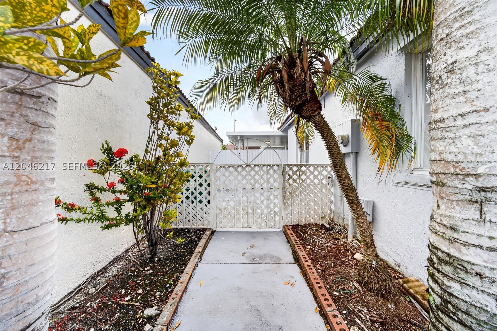 Miami photo 5