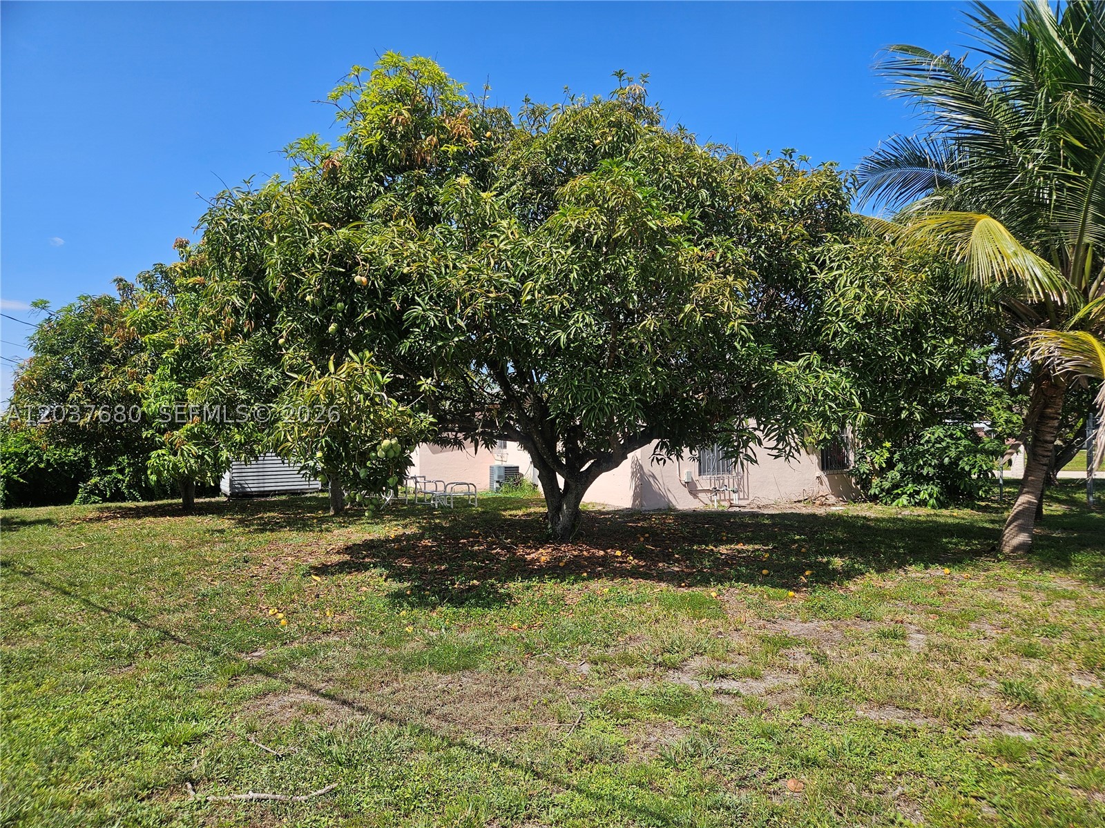 Delray Beach photo 3