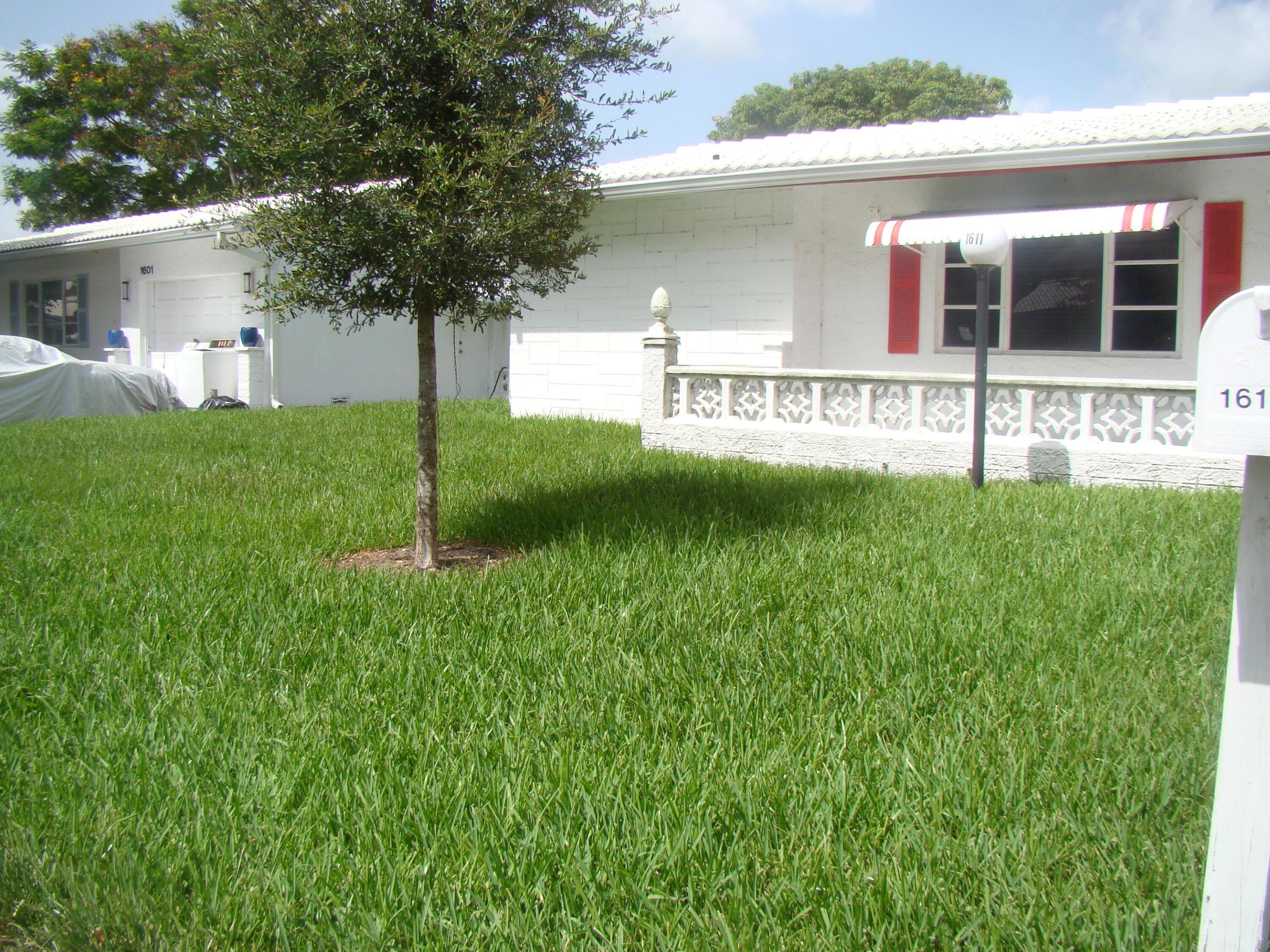 Plantation photo 2