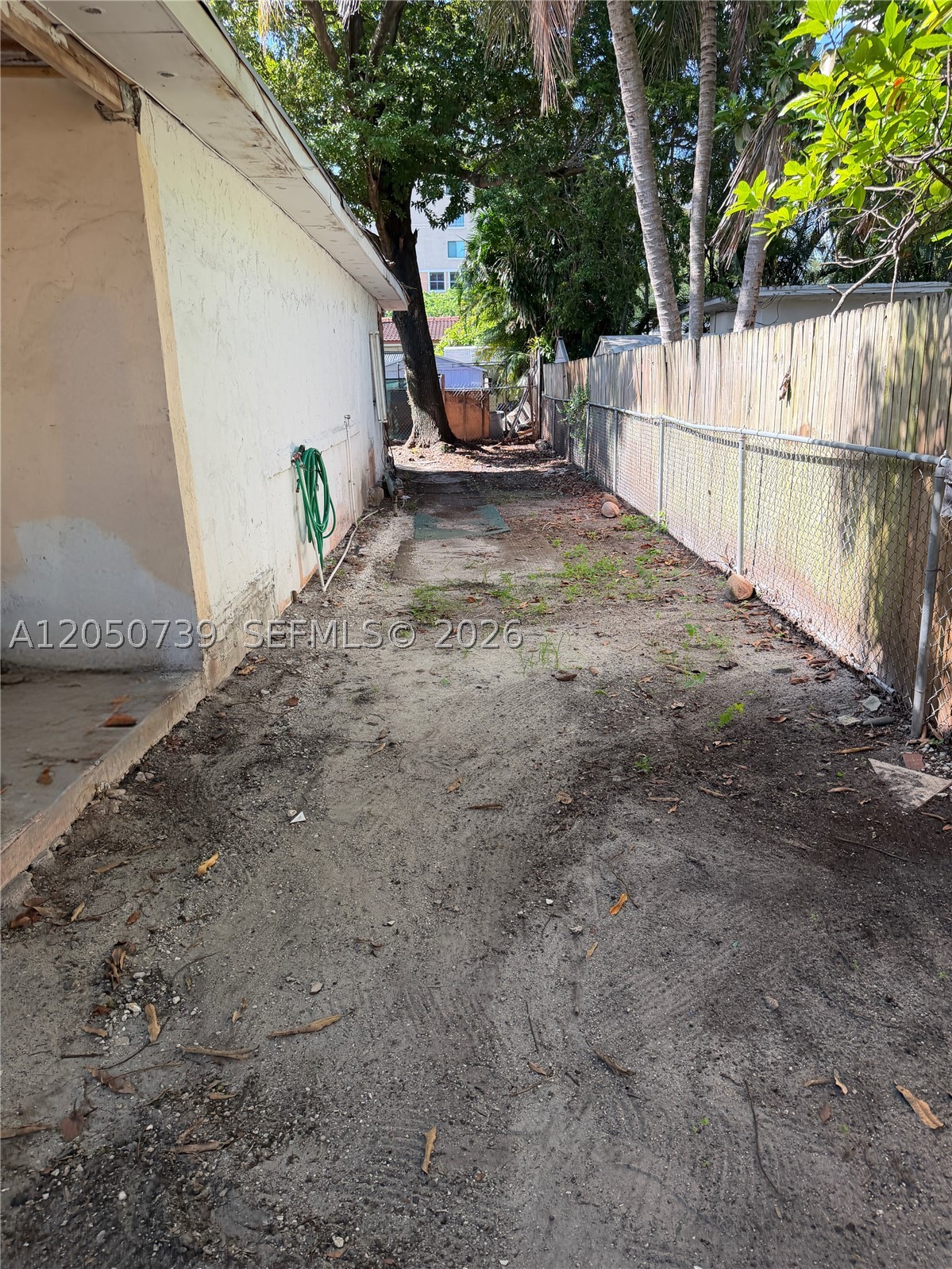 Miami photo 3