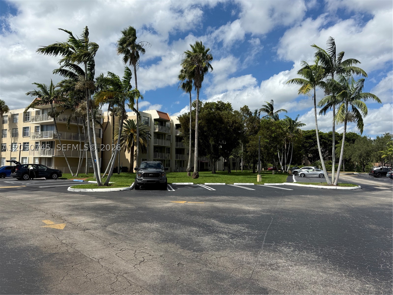 Miami photo 2