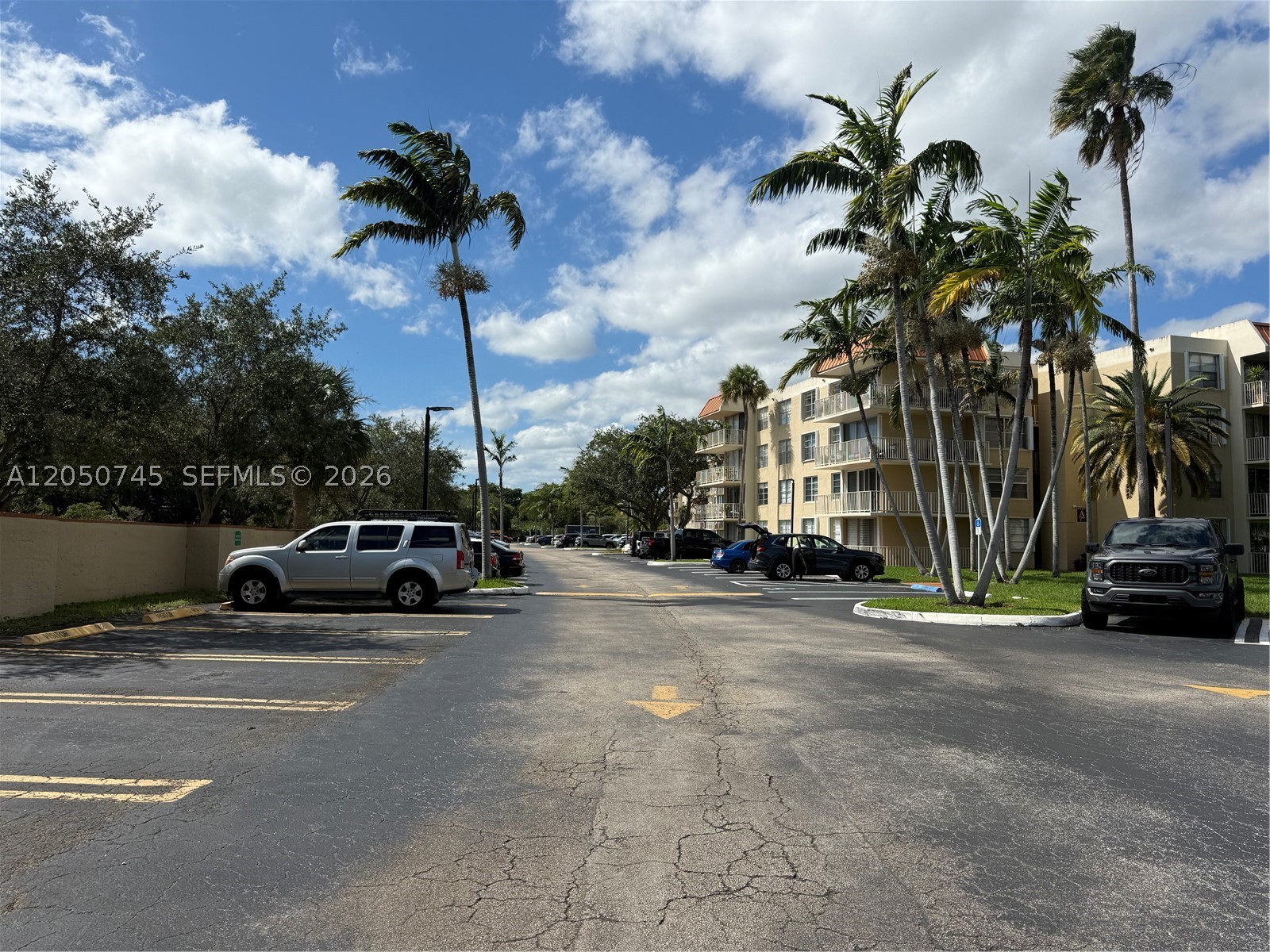 Miami photo 3