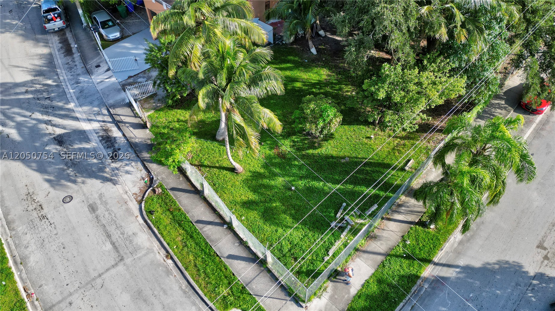 Miami photo 2