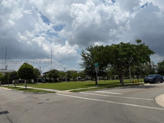 Miami photo 3