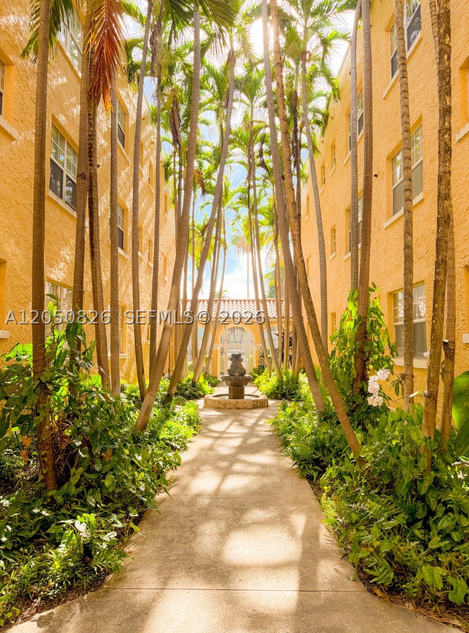 Miami Beach photo 1
