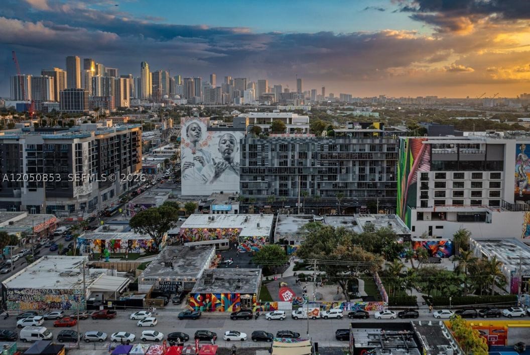 Miami photo 2