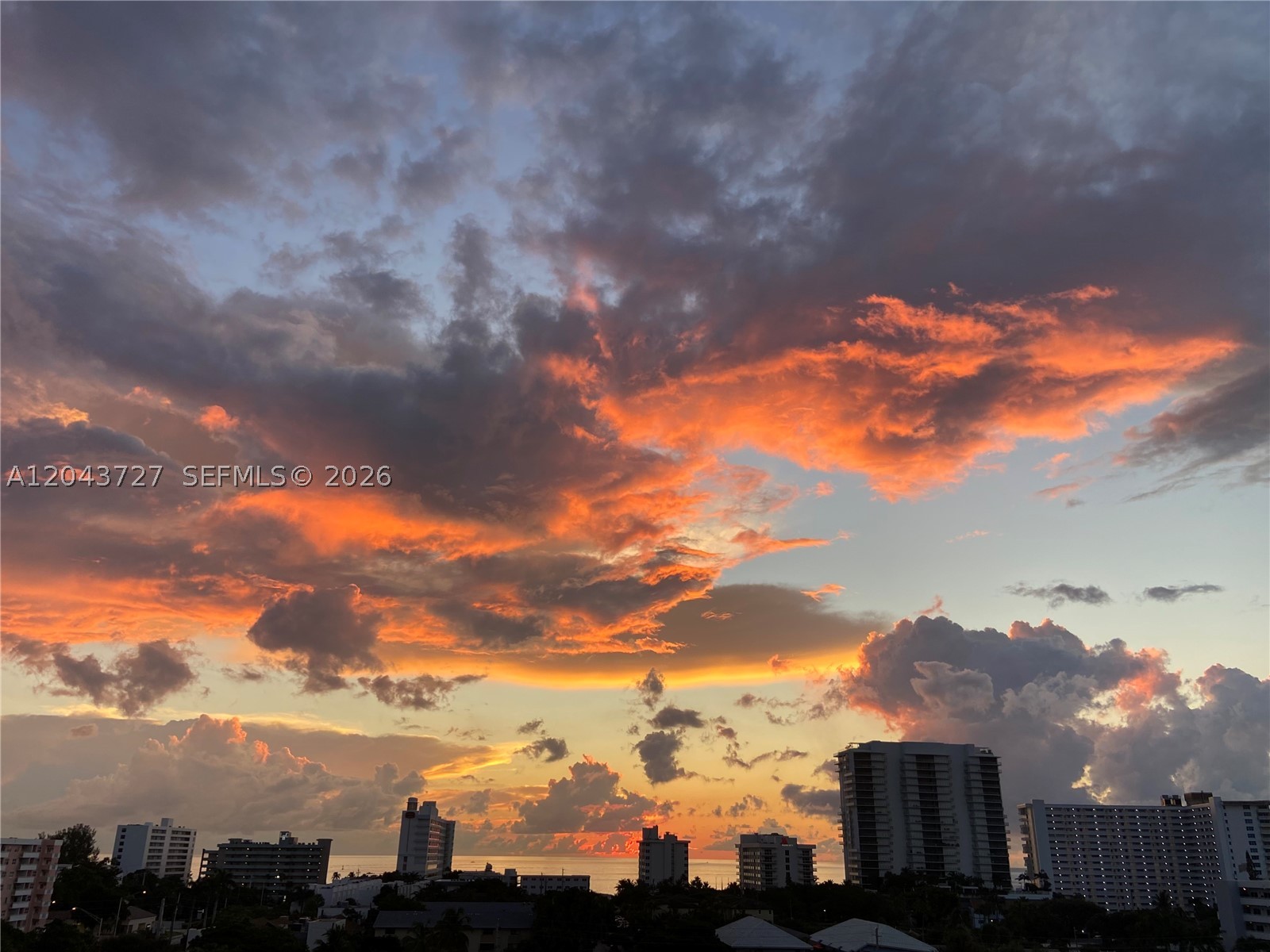 Pompano Beach photo 3