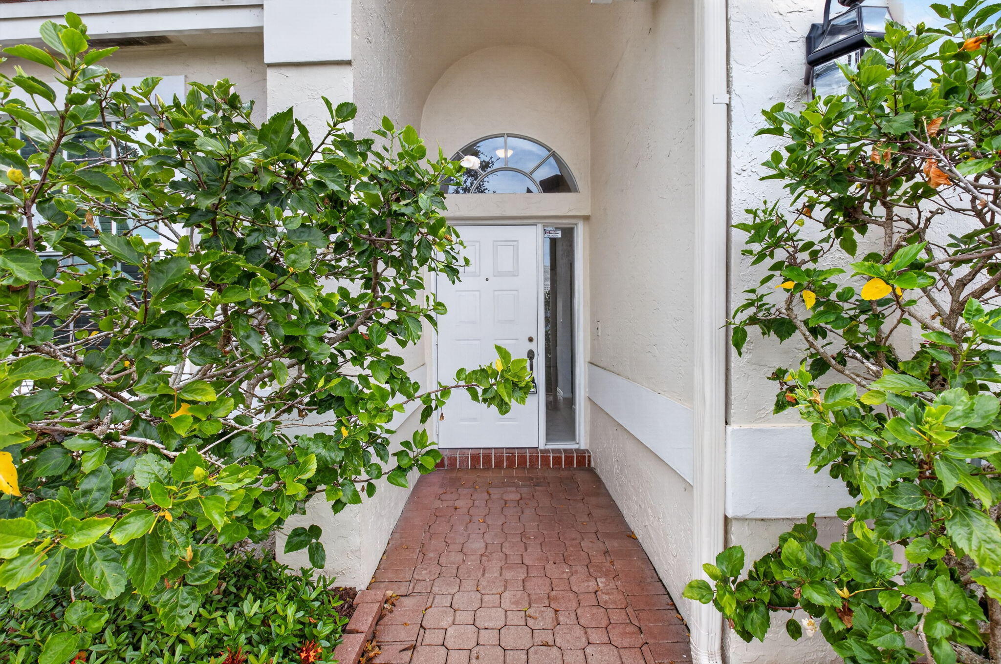 Boca Raton photo 3