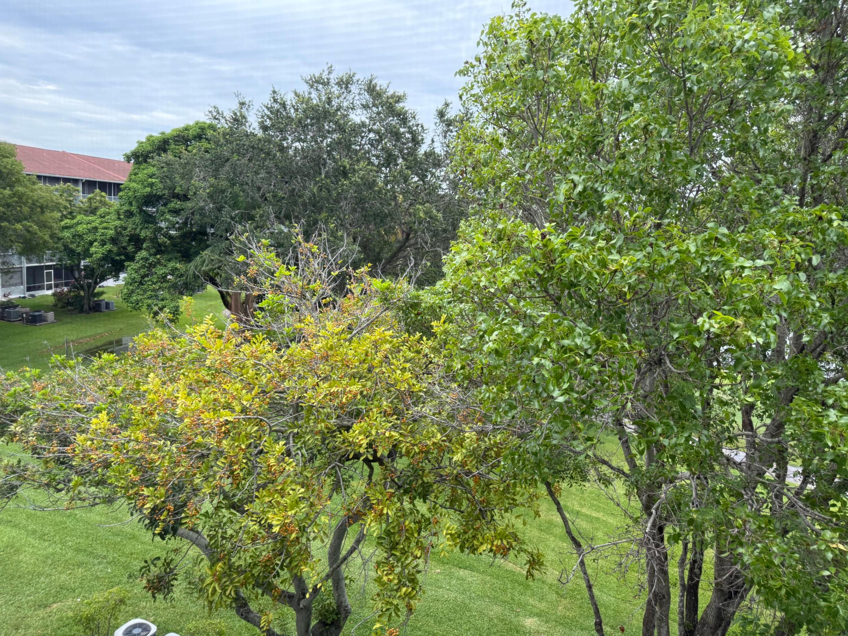 Pembroke Pines photo 1