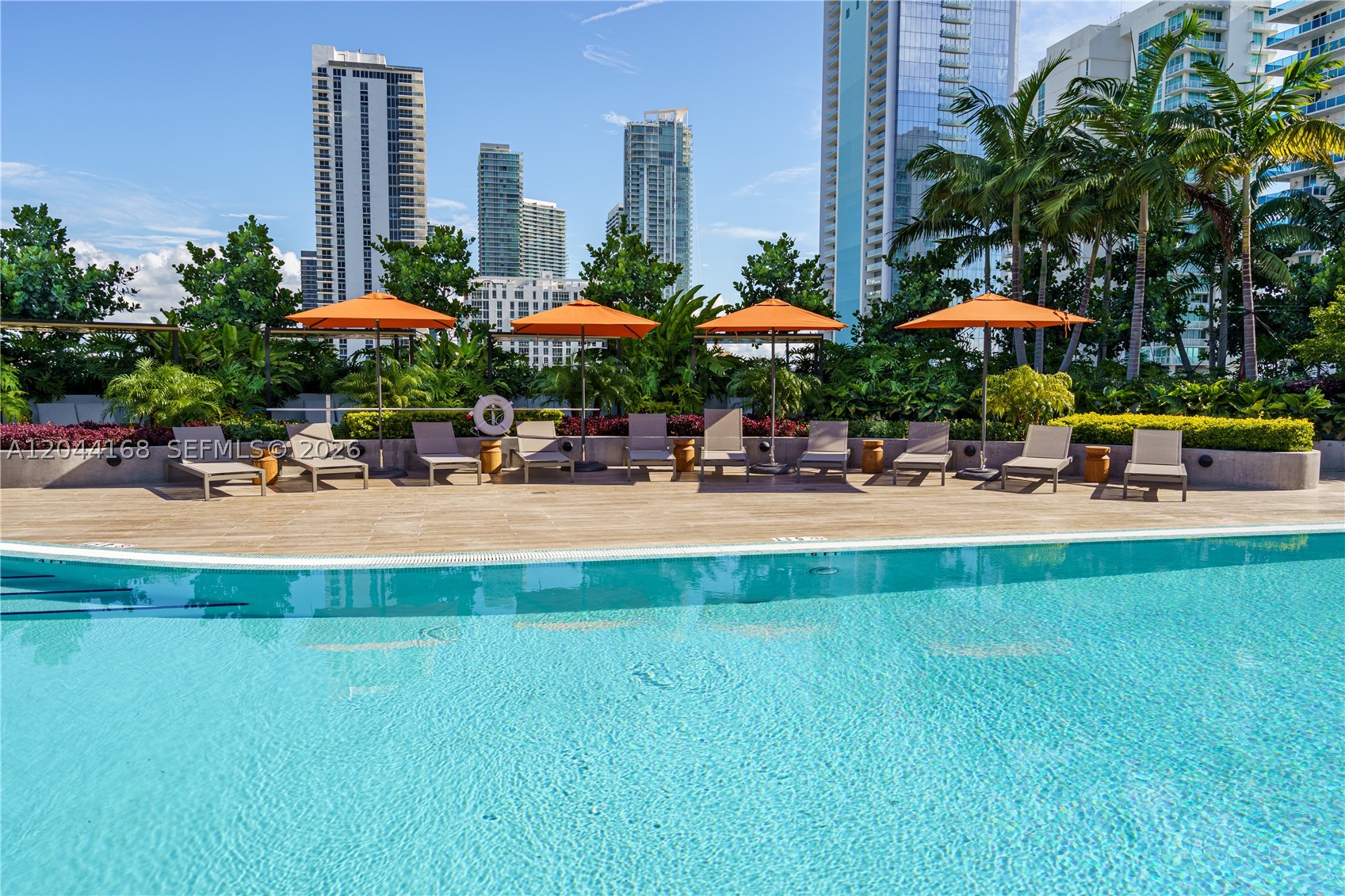 Miami photo 4
