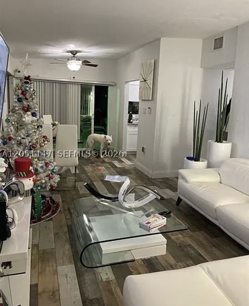 Miami photo 2