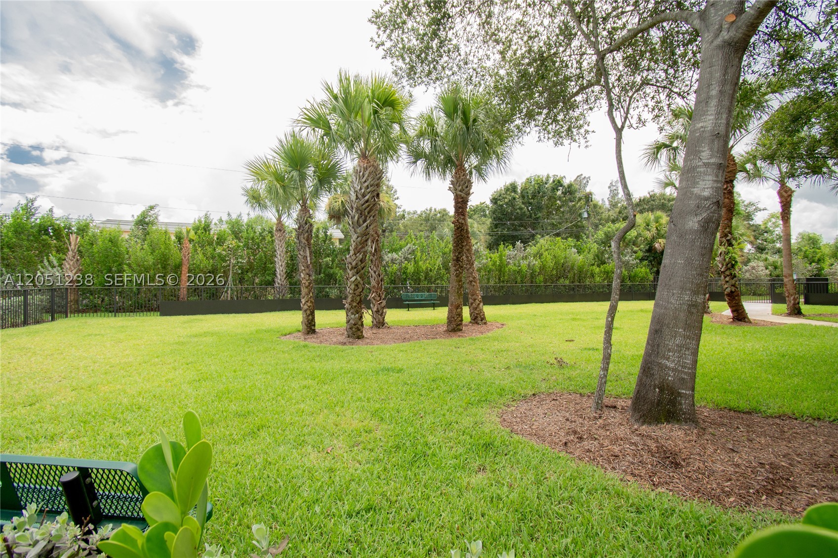 Jupiter photo 2