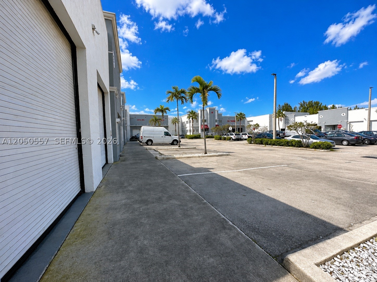 Doral photo 4