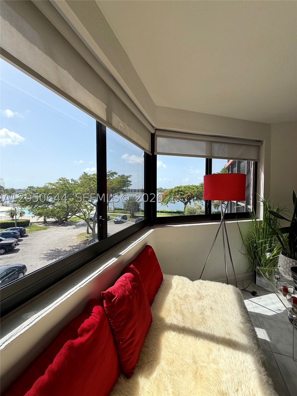 Miami photo 5