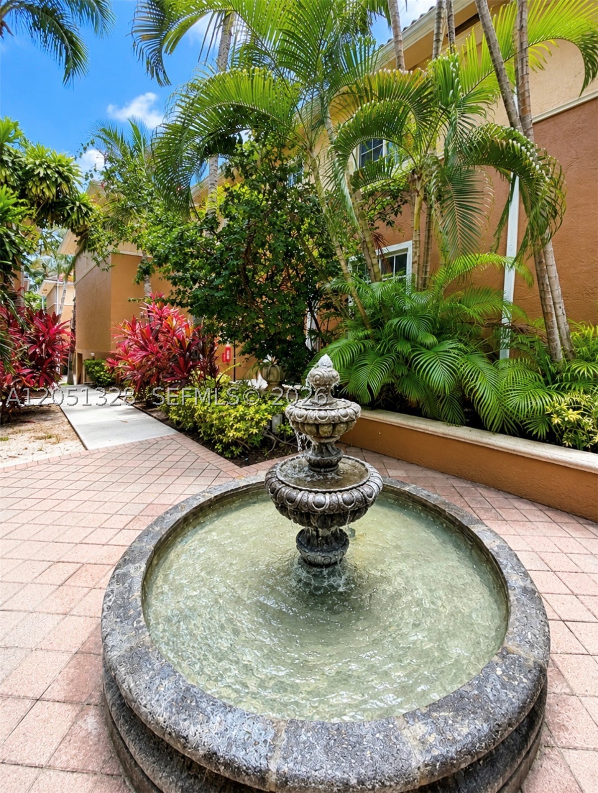 Aventura photo 4
