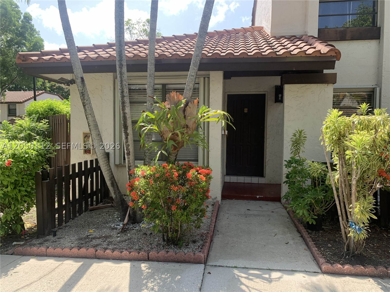 Miami photo 2