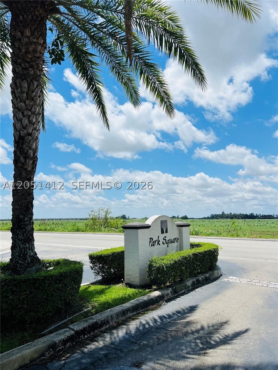 Miami photo 2