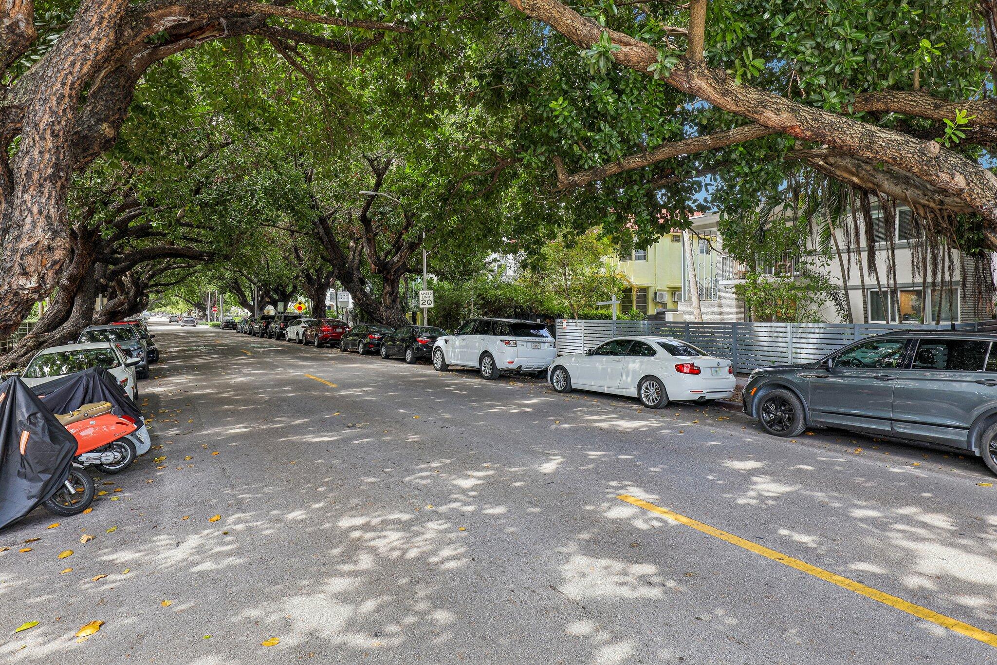 Miami Beach photo 4