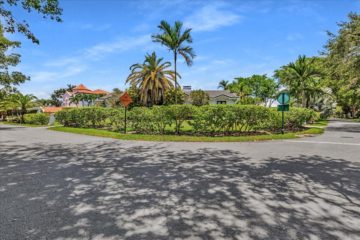 Pinecrest photo 2