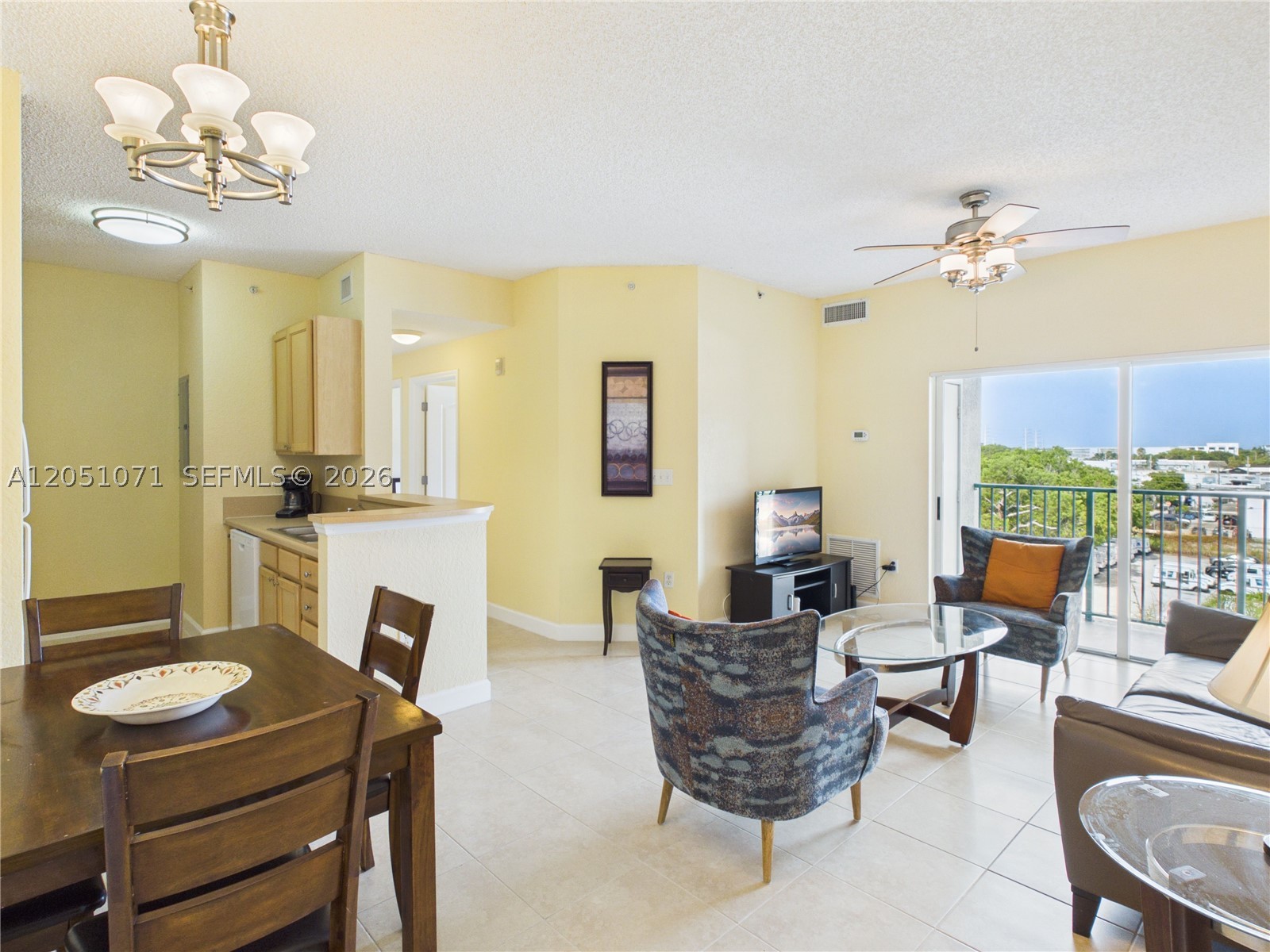 South Miami photo 3